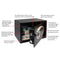 Digital Home Safe