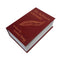 Locking Diversion Book