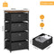 HAITRAL Fabric Storage Chest, Drawer Clothes Organizer - 4 Drawers Storage Organizer Unit for Closet, Easy Assembly Closet Dresser for Dorm, Bedroom, Hallway, Storage Bins (Black)