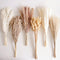 110 PCS Dried Pampas Grass Bouquet, Boho Table Decor, Bunny Tails Dried Flowers, Brown Pompas, White Pampas Grass for Wedding, Home, Rustic Party, Baby Shower Decorations