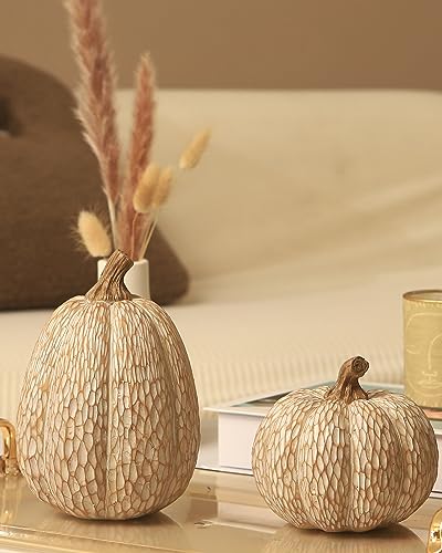 DN DECONATION Thanksgiving Resin Pumpkin Statue, Brown and White Pumpkin Figurine, Faux Decorative Pumpkins for Table Centerpiece, Countryside Autumn Fall, Set of 2, Gift