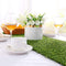 Farochy Artificial Grass Table Runners - Synthetic Grass Table Runner for Wedding Party, Birthday, Banquet, Baby Shower, Home Decorations (14 x 72 inches)