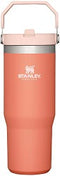 Stanley IceFlow Stainless Steel Tumbler with Straw, Vacuum Insulated Water Bottle for Home, Office or Car, Reusable Cup with Straw Leakproof Flip (Grapefruit)