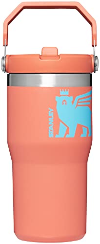Stanley Classic IceFlow Flip Straw Tumbler for Kids (8 or Above), 20oz, Stan the Bear Stainless Steel , with Double-Wall Vacuum Insulation
