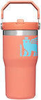 Stanley Classic IceFlow Flip Straw Tumbler for Kids (8 or Above), 20oz, Stan the Bear Stainless Steel , with Double-Wall Vacuum Insulation