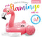Intex Flamingo Inflatable Ride-On, 58 in x 55 in x 37 in , for Ages 3+