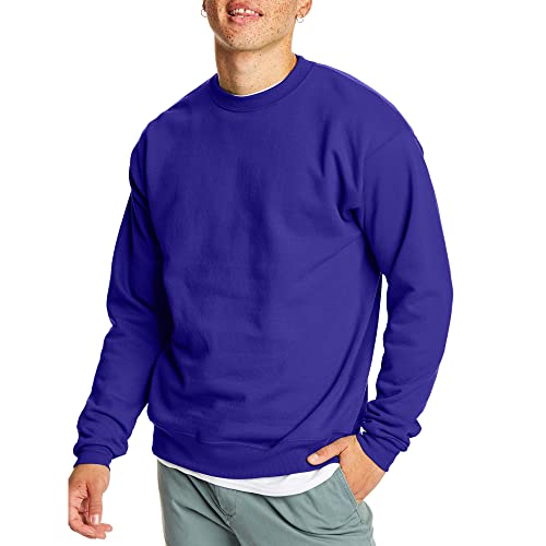 Hanes Men's EcoSmart Sweatshirt, purple, 3XL