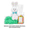 Let's Make Memories Easter Basket for Kids - Personalized Plush Pink Bunny