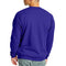 Hanes Men's EcoSmart Sweatshirt, purple, 3XL