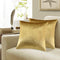 GIGIZAZA Gold Velvet Decorative Throw Pillow Covers for Sofa Bed 2 Pack Soft Cushion Cover