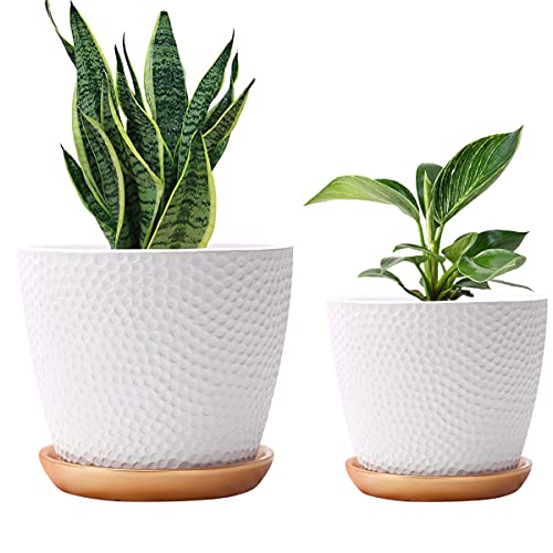 Klevsoure 10 Inch Plant Pot with Drainage and Saucer, 7.5 Inch Ceramic Indoor Pot Plant, White Honeycomb Pattern Big Flower Planters Outdoor, Large Plant Pot Set (10"+7.5" and Gold Saucer Included)