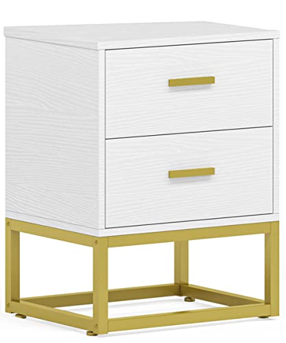 End Table Nightstands with 2 Storage Drawers, Modern Night Stands for Bedrooms White Bedside Table Sofa Side Table
