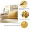 GIGIZAZA Gold Velvet Decorative Throw Pillow Covers for Sofa Bed 2 Pack Soft Cushion Cover