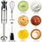 Mueller Ultra-Stick 500 Watt 9-Speed Immersion Multi-Purpose Hand Blender Heavy Duty Copper Motor Brushed 304 Stainless Steel With Whisk, Milk Frother Attachments