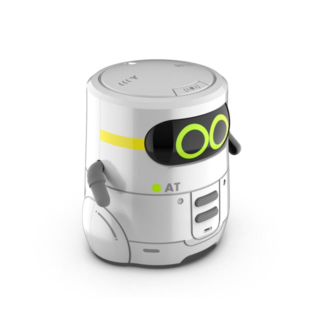 Educational and Interactive Toy Robot