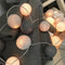 Cotton Ball Garland String Lights - 20 count